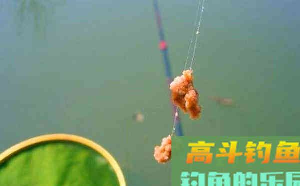 用拉饵钓鱼应该如何调漂？判断双饵到底还是单饵到底