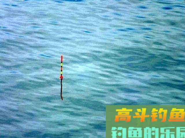 钓目必须露出水面？不，负目钓浮还真不需要钓目露出水面