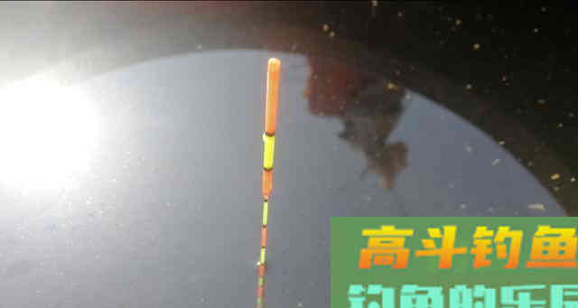 双钩带饵调漂，有两点要注意