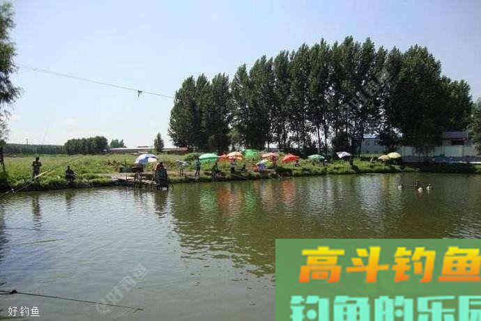 冬季黑坑钓鲤鱼快速调漂法，经验之谈