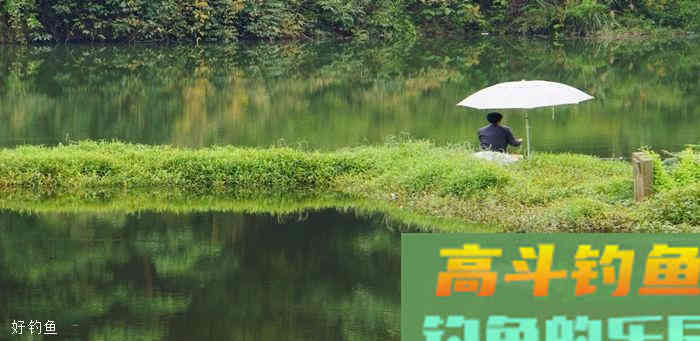 野钓如何选择吃铅大小的浮漂