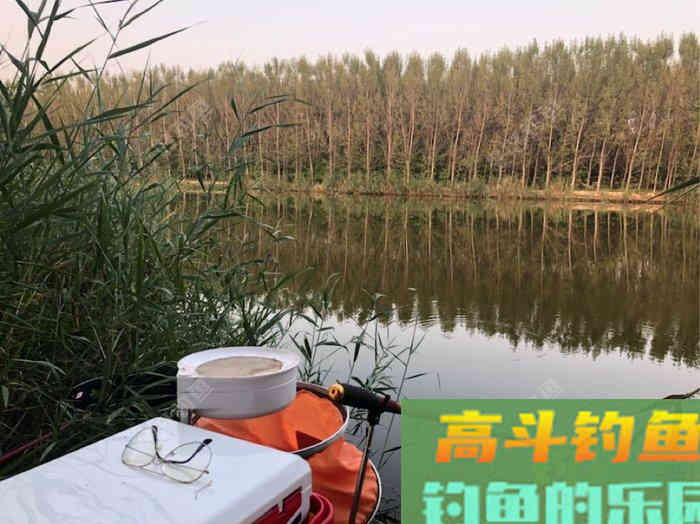 个人野钓调漂技巧，小豆哥的总结