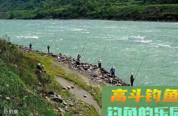 十种钓鱼看漂技巧