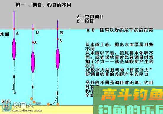 图解钓鱼调漂与浮力的关系