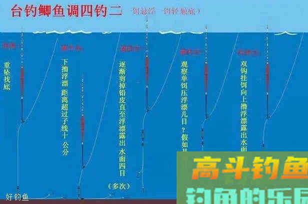 仅仅找好钓点是完全不够的，你真的会调漂吗？