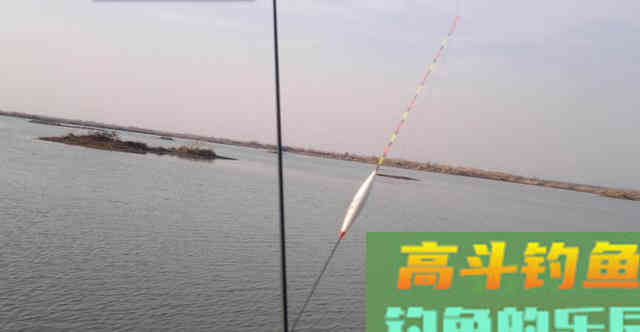 如何漂动提竿就中鱼？让浮漂节奏与吃口节奏一样
