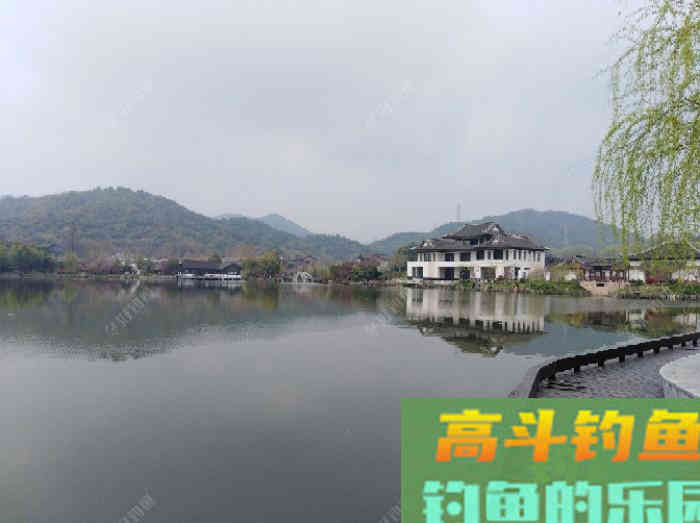 闲谈下野钓调漂的问题