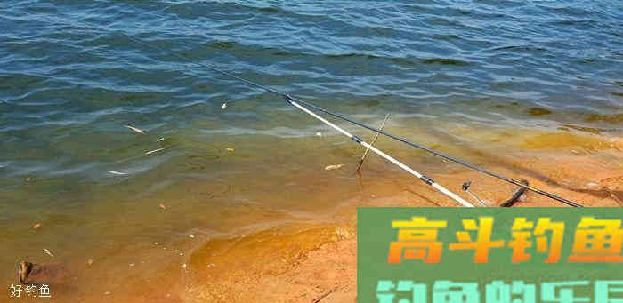 看看那些正确用漂的方式，获鱼与惊喜不期而遇