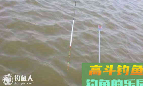 野钓鲫鱼及鲤鱼的三个调漂技巧