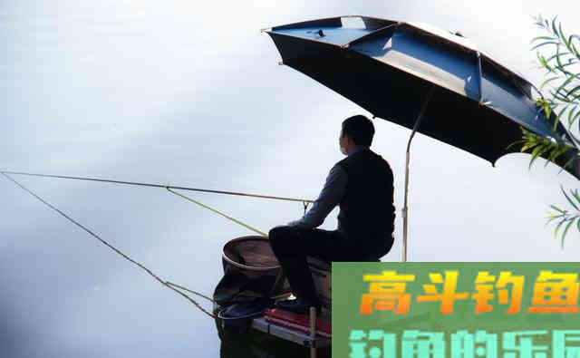 用加粗尾浮漂野钓，调漂不对难上鱼