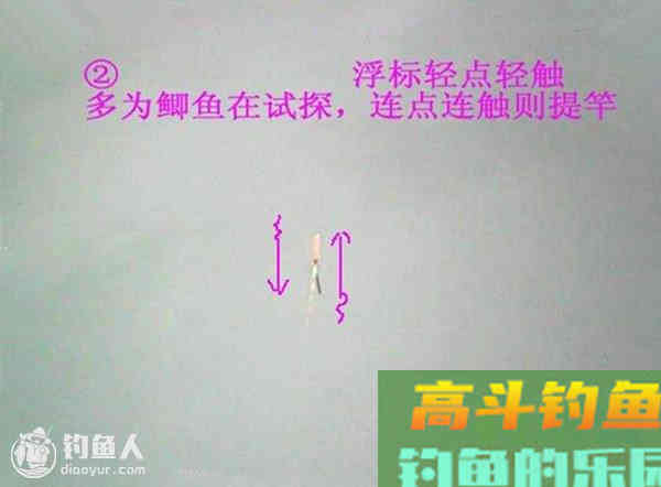 图解鲫鱼的常见咬钩信号漂像
