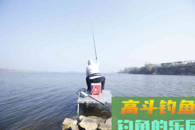秋天钓鲤鱼，老钓手这么“调钓”，上鱼率高的不像话
