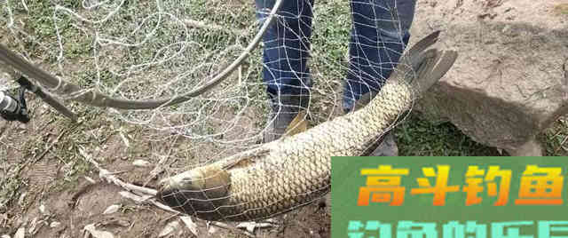 想钓大鱼先找底，一张图告诉你找底的重要性