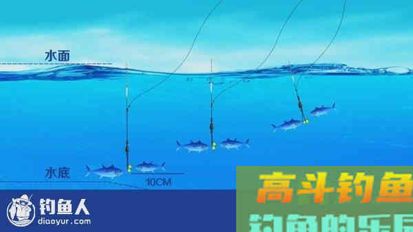 关于鱼情上浮的四种钓浮调漂技巧