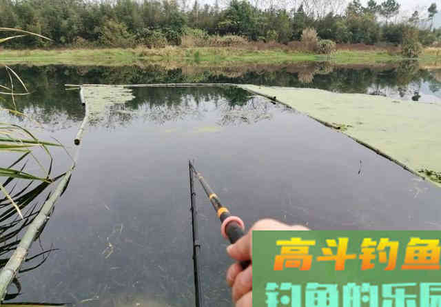 钓鱼找底有多重要？并非全为调漂