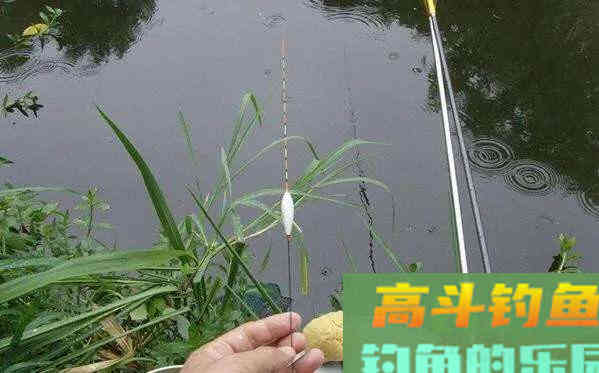 野钓调漂，只坚持三个字，漂相又准又狠