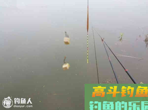 钩饵的重量与浮漂调钓的关系
