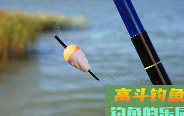 知道你中鱼率为啥不高吗？调漂不重视这4点，钓得到鱼才怪