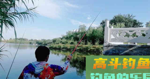 浮漂上有信号，就是提不上鱼，多数是这五个原因导致