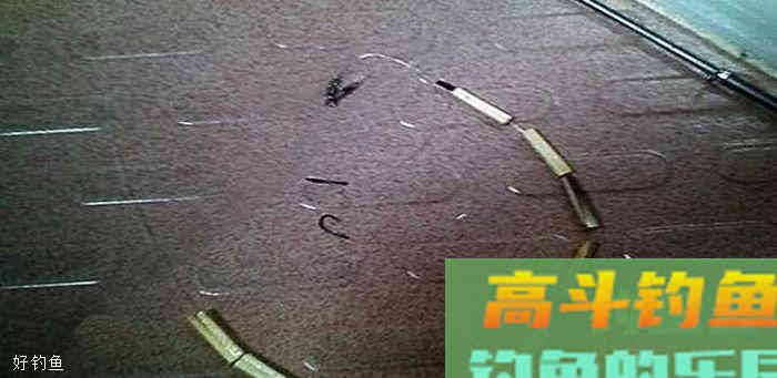 台钓中，为何浮漂有信号却空竿？