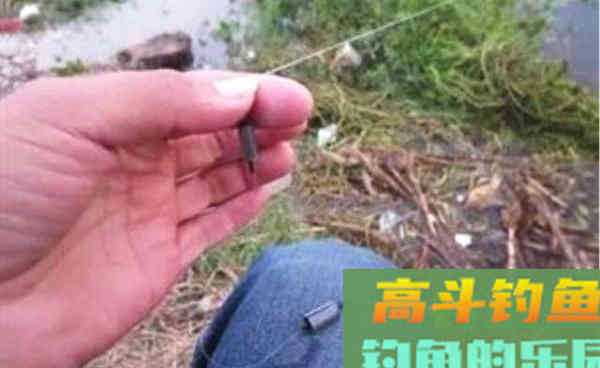 秋钓大鱼利器，双铅线组的搭配和调漂技巧