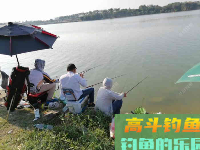 钓大鱼如何调漂，钓大鱼应该注意什么