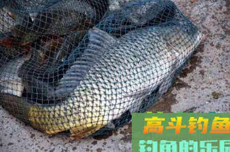 台钓找底及调漂的方法，台钓大师分享