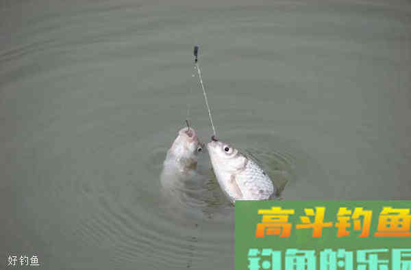 常见的2种水底类型和找底技巧