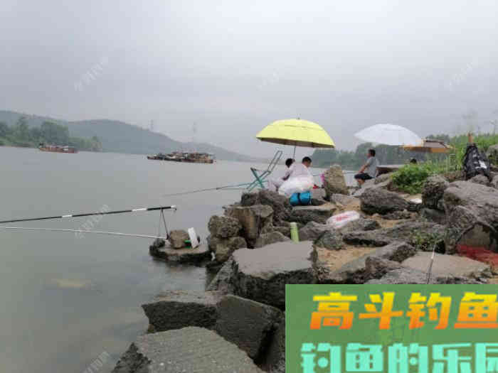 调漂技巧分享，高手给大家讲解如何半水调漂