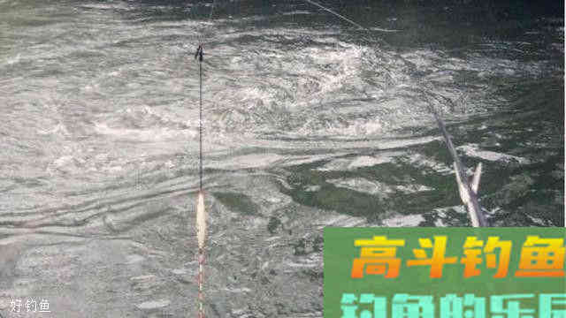 论调高钓低与调低钓高，看完反思一下，你真的会调漂吗？