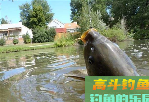 最适合野钓的调漂方法，水库河流调漂的4个步骤