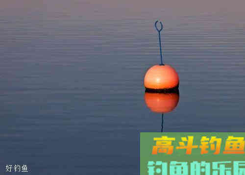 如何调漂？钓鱼高手分享调漂经验