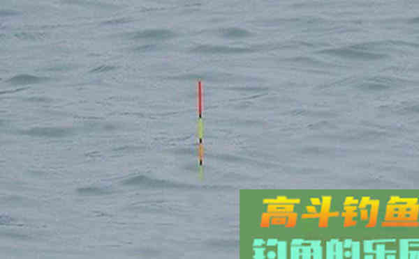 钓鱼调漂技巧：了解钩重和饵重，想钓几目钓几目