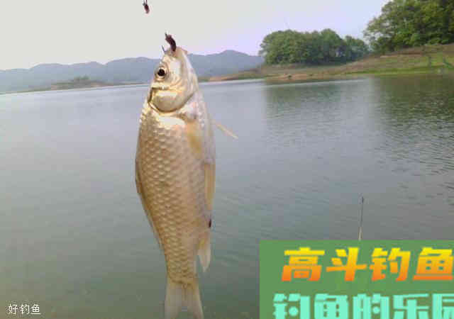 不同野钓环境的选漂和调漂技巧