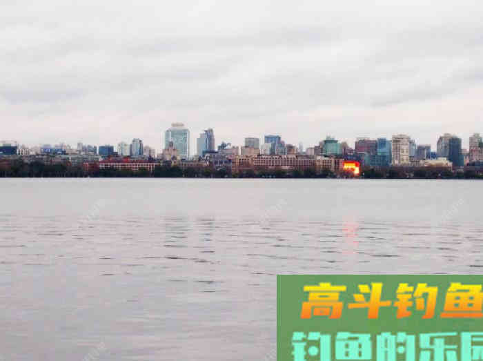 针对不同的作钓水域，是如何来前期找底与调钓
