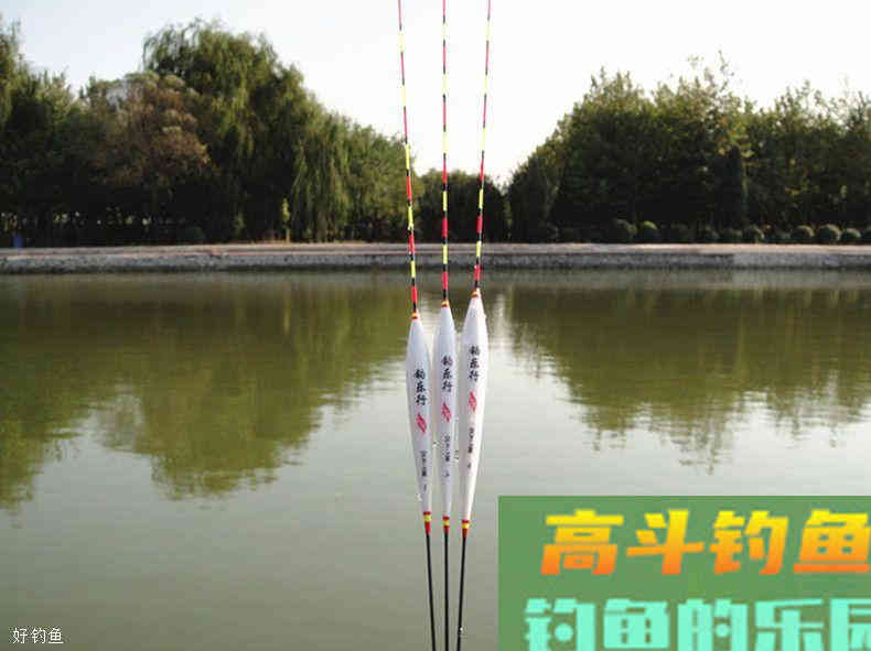 十种钓鱼看漂技巧