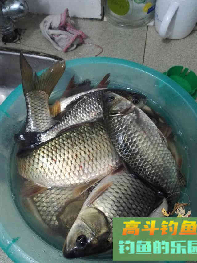 浮漂调灵一定好，根据实际情况调最合适当前情况的漂