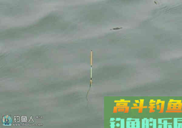 鲫鱼的几种常见漂相分析