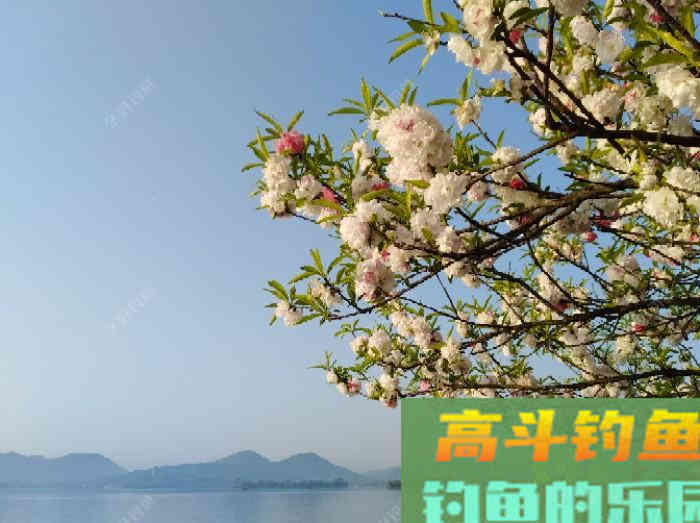 闲谈下野钓调漂的问题