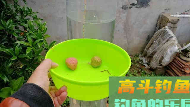 还在纠结怎么调漂吗？看老钓友全方位为你分析