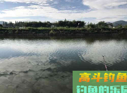 野钓鱼情复杂，调漂钓灵还是钓钝？2个技巧解析