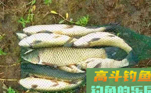 钓鱼调漂技巧：了解钩重和饵重，想钓几目钓几目