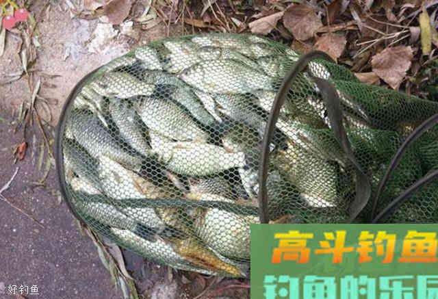 钓不到鱼？来看看这4个调漂技巧