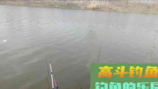 七星漂别再只会钓铅到底了，教你这样调秒变悬坠钓