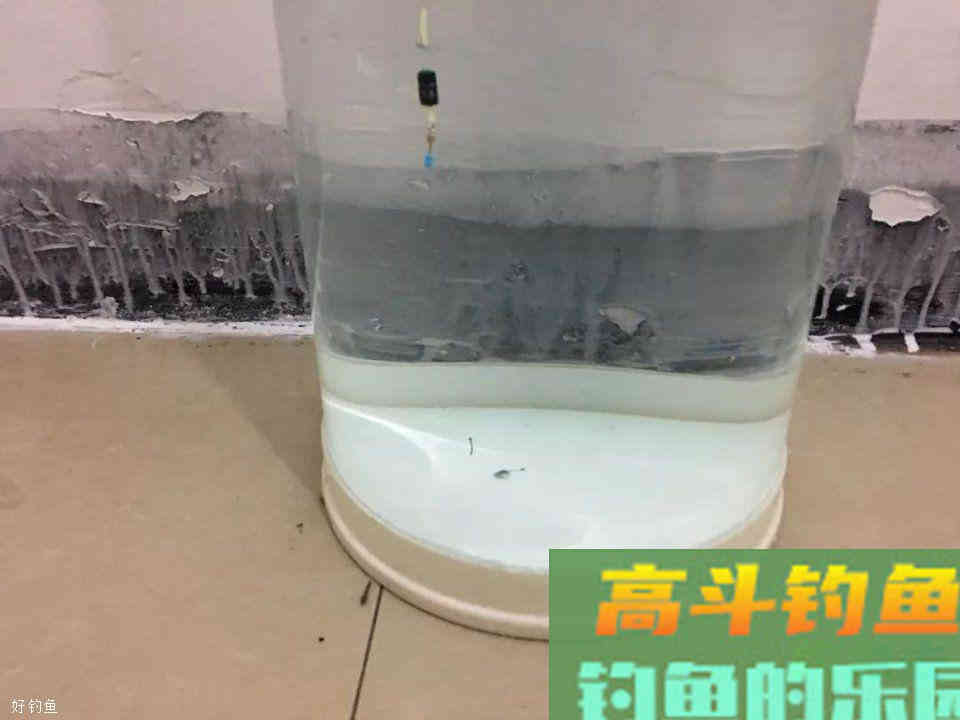 非常详细的调漂教程！以“调四钓二”为例，看图就能学会