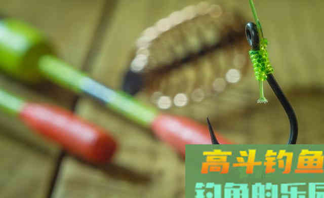 认清调漂灵与钝的本质渔获自然会提升