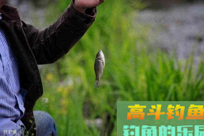 最实用的野钓调漂方法及思路