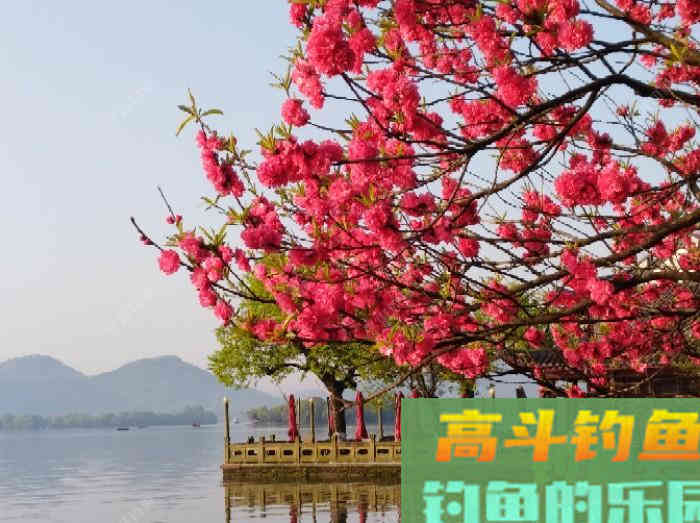 闲谈下野钓调漂的问题