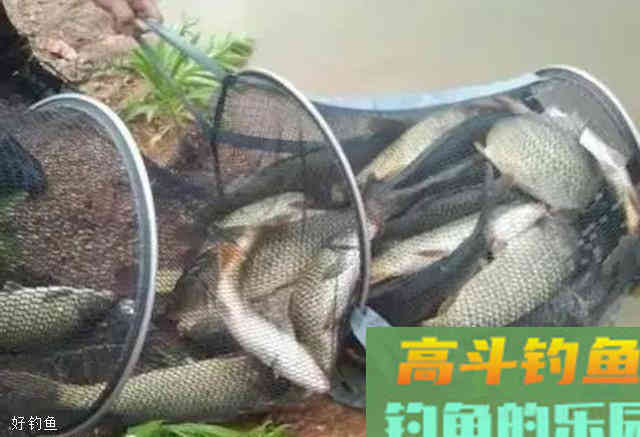 调钓精髓，你真的懂吗？