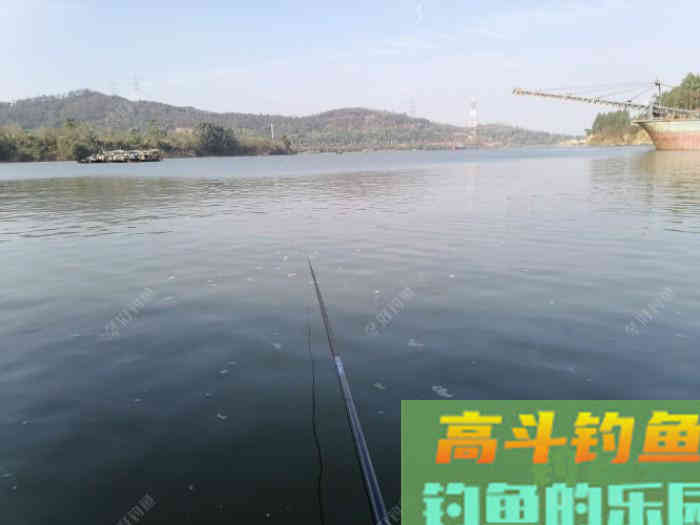 野钓，调平水，还是调几钓几好？待家研究钓